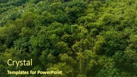  Presentation with tropical top view summer botanical - PPT theme consisting of top-down-view background and a  colored foreground