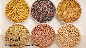  Presentation with organic dry chia seeds - Slide deck with top left - fenugreek broccoli alfalfa background and a coral colored foreground