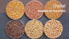  Presentation with seeds - Amazing presentation theme having top left - fenugreek radish alfalfa backdrop and a coral colored foreground