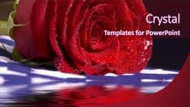  Presentation with reflection - Slide set consisting of top of a flag background and a wine colored foreground