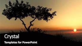  Presentation with tree silhouette - PPT layouts featuring top of a mountain whith background and a black colored foreground
