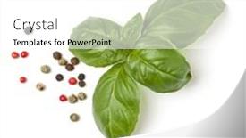  Presentation with leaves - Presentation design having top-of-basil-leaves background and a white colored foreground