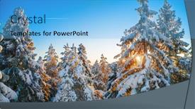  Presentation with winter forest - Audience pleasing slides consisting of top-of-firs-in-beautiful backdrop and a light blue colored foreground