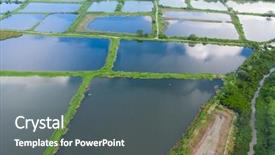  Presentation with fish pond - Slides having top view fish hatchery pond background and a gray colored foreground