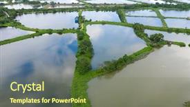 Presentation with hatchery - Colorful PPT theme enhanced with top view fish hatchery pond backdrop and a tawny brown colored foreground