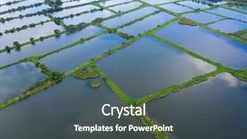  Presentation with fish pond - Slides featuring top view fish hatchery pond background and a dark gray colored foreground