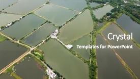  Presentation with fish pond - PPT theme featuring top view fish hatchery pond background and a violet colored foreground