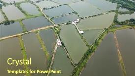  Presentation with hatchery - Beautiful presentation theme featuring top view fish hatchery pond backdrop and a tawny brown colored foreground