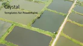  Presentation with fish pond - Colorful presentation theme enhanced with top view fish hatchery pond backdrop and a  colored foreground