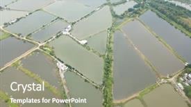  Presentation with fish pond - Slide set with top view fish hatchery pond background and a  colored foreground