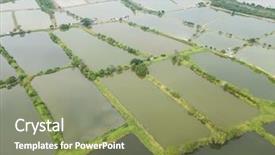  Presentation with hatchery - Audience pleasing presentation theme consisting of top view fish hatchery pond backdrop and a seafoam green colored foreground