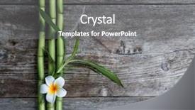  Presentation with bamboo flower - Slide deck consisting of top view frangipani flower and bamboo on the wooden background background and a gray colored foreground