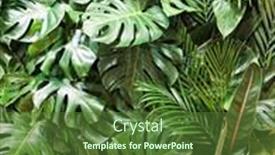  Presentation with palm leaves - Amazing presentation design having top-view-green-tropical-palm backdrop and a tawny brown colored foreground