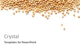  Presentation with millet - Presentation theme with top-view-millet-isolated background and a  colored foreground