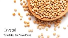  Presentation with millet - Slide deck enhanced with top-view-millet-isolated background and a  colored foreground