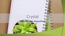  Presentation with cactus - PPT theme consisting of nomenclature - top view of a cactus background and a sky blue colored foreground