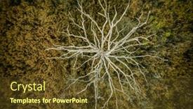  Presentation with swamp - PPT layouts with top view of a dead background and a tawny brown colored foreground