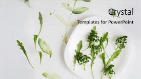  Presentation with sprout - Presentation theme enhanced with top view of a fresh parsley and arugula on a plate isolated white background with drawn sprout and leaves background and a light gray colored foreground