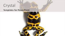  Presentation with poison - Amazing slide deck having poisonous animals - top view of a yellow-banded backdrop and a light gray colored foreground