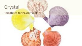  Presentation with shell - Slide deck having top-view-of-beautiful-color background and a cream colored foreground