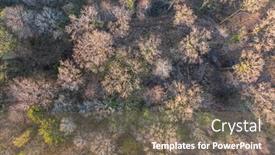  Presentation with spring tree - Beautiful theme featuring top-view-of-deciduous-tree backdrop and a violet colored foreground