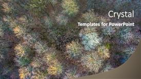  Presentation with spring tree - Beautiful PPT layouts featuring top-view-of-deciduous-tree backdrop and a gray colored foreground