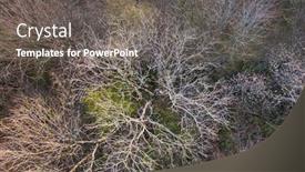  Presentation with risk top view - Slide deck with top-view-of-deciduous-tree background and a gray colored foreground