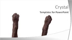  Presentation with brainstorming top view - Theme having top-view-of-dog-legs background and a white colored foreground