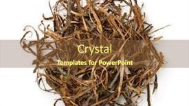  Presentation with oak - Presentation theme consisting of top-view-of-dried-oak background and a tawny brown colored foreground