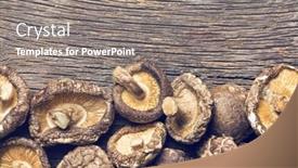 Presentation with mushrooms - PPT theme featuring top view of dried shiitake mushrooms on table background and a gray colored foreground