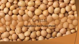  Presentation with soybeans - Theme enhanced with top-view-of-dry-organic background and a gold colored foreground