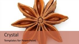  Presentation with dry - Beautiful presentation theme featuring top view of dry star backdrop and a red colored foreground