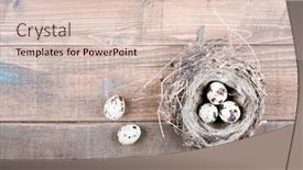  Presentation with bird eggs - Slide deck enhanced with top-view-of-eggs background and a lemonade colored foreground