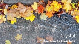  Presentation with fall leaves - Amazing presentation design having top-view-of-fall-leaves backdrop and a gray colored foreground