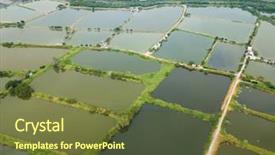  Presentation with fish pond - Colorful slide set enhanced with top view of fish hatchery backdrop and a tawny brown colored foreground