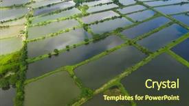  Presentation with fish pond - Slides featuring top view of fish hatchery background and a tawny brown colored foreground