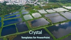  Presentation with fish pond - Slides featuring top view of fish hatchery background and a tawny brown colored foreground