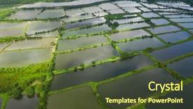  Presentation with hatchery - Slide deck featuring top view of fish hatchery background and a tawny brown colored foreground