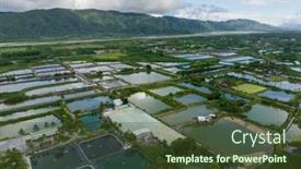  Presentation with fish pond - PPT layouts having top-view-of-fish-pond background and a tawny brown colored foreground