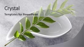  Presentation with curry - Amazing slide set having top view of fresh curry backdrop and a light gray colored foreground