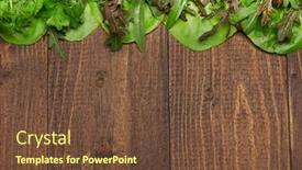  Presentation with green fresh food - PPT theme enhanced with top-view-of-green-dill background and a tawny brown colored foreground
