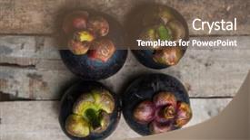  Presentation with mangosteen - Colorful PPT layouts enhanced with top view of mangosteen fruit backdrop and a violet colored foreground