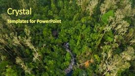  Presentation with mangrove - Cool new slide set with top view of mangrove forest backdrop and a tawny brown colored foreground