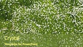  Presentation with man on top of mountain - Amazing PPT theme having top view of meadow backdrop and a tawny brown colored foreground