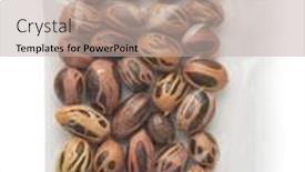  Presentation with dry fruits seeds nuts - Colorful PPT layouts enhanced with top-view-of-nutmeg-seeds backdrop and a mint green colored foreground