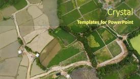  Presentation with hong kong - PPT theme enhanced with top-view-of-rice-field background and a tawny brown colored foreground