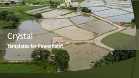  Presentation with rice field - PPT layouts enhanced with top-view-of-rice-field background and a coral colored foreground