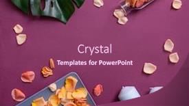  Presentation with tropical leave - PPT theme featuring top-view-of-rose-petals background and a violet colored foreground