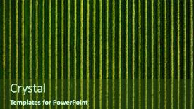  Presentation with earth land - Cool new slide deck with top-view-of-rows-blackcurrant backdrop and a tawny brown colored foreground