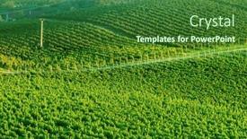  Presentation with plantation - Audience pleasing slide set consisting of top-view-of-spacious-sunshine backdrop and a forest green colored foreground